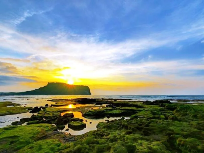 dao jeju han quoc ve dep tho mong cua hon dao nui lua