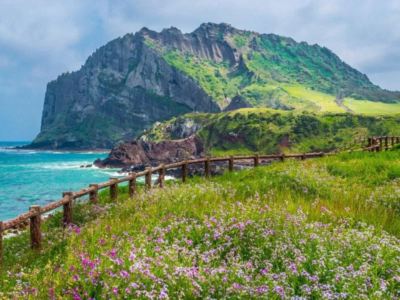 dao jeju han quoc ve dep tho mong cua hon dao nui lua